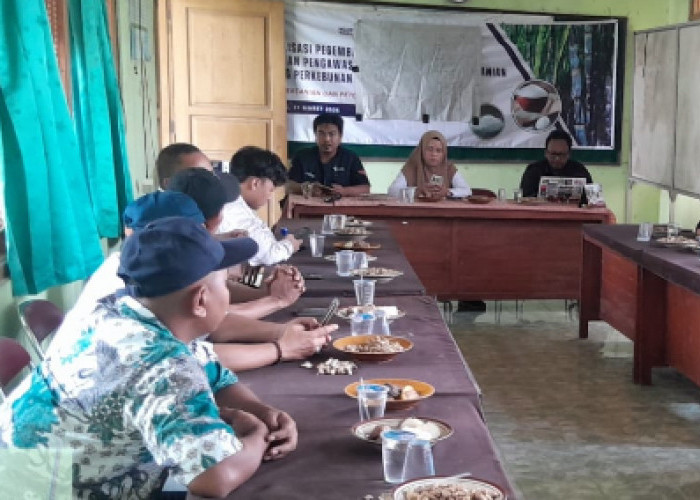 Hampir 42 Persen, Penyerapan Pupuk Bersubsidi di Brebes Capai 24.871.757 Kilogram