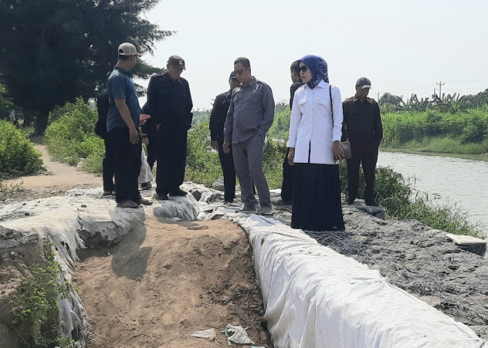 Tanggul Tersisa Satu Meter, Komisi III DPRD Kota Tegal Dorong PSDA Lakukan Penanganan di 2027
