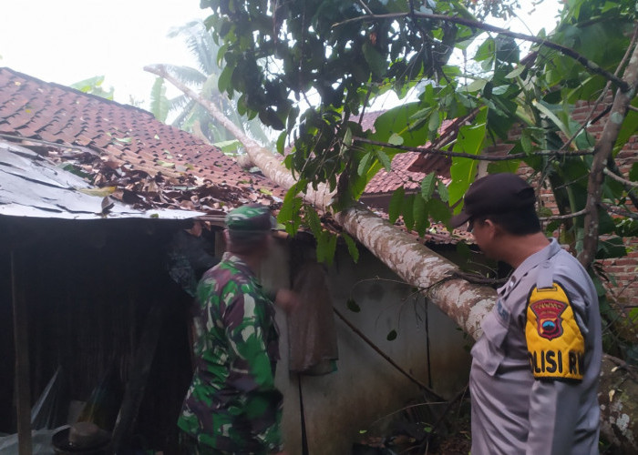 Musibah Angin Kencang Terjadi di 5 Titik di Kabupaten Tegal, Polres Gerak Cepat Amankan Lokasi 