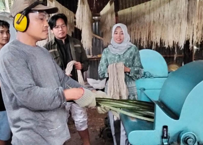KPwBI Tegal Raih Penghargaan Gegara Sukseskan UMKM Pengolahan Serat Nanas di Pemalang