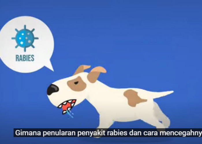 Penyakit Rabies Mengancam, Warga Batang Ramai-ramai Vaksinasi Hewan Peliharaan