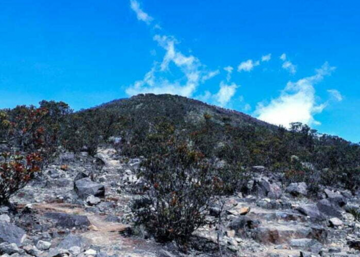 Mitos Pasar Dieng Gunung Lawu yang Jadi Peringatan para Pendaki