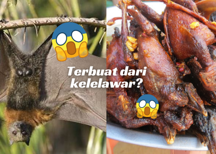 Ini 2 Kuliner Ekstrim Indonesia, Kamu Berani Coba yang mana?