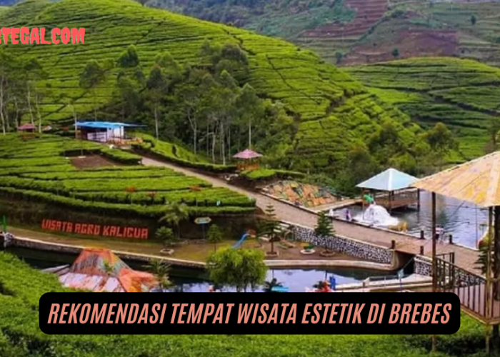 Dijamin Instagramable, 6 Rekomendasi Tempat Wisata Estetik di Brebes