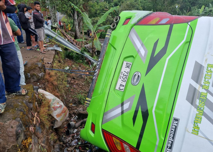 Angkut 30 Orang, Bus Rombongan dari Rawa Belong Masuk Jurang di Jalan Alternatif Puncak Bogor