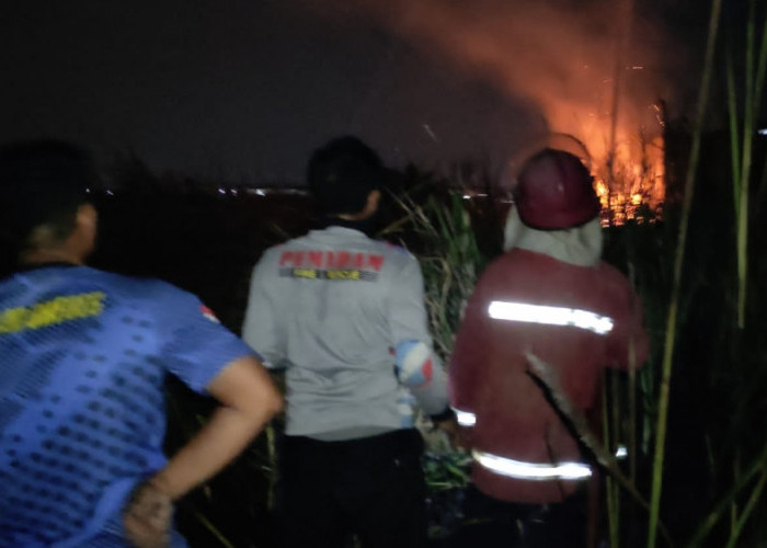115 Kebakaran Lahan Terjadi di Kabupaten Brebes Selama Januari-Oktober 