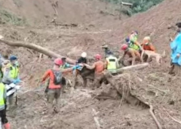 Hari Keenam Pencarian, Tim SAR Temukan Korban Kedua Longsor Desa Bongas Pemalang