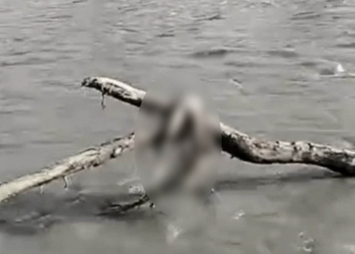 Hanyut Terseret Arus Sungai Glagah, Bocah Asal Belik Pemalang Ditemukan Tak Bernyawa