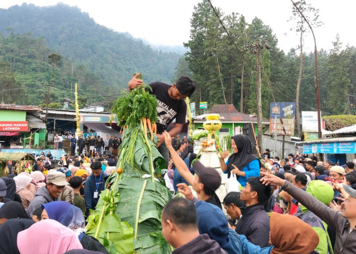 Berebut Gunungan Ruwat Bumi Guci 2026, Ribuan Warga Ngalap Berkah dan Doa Leluhur