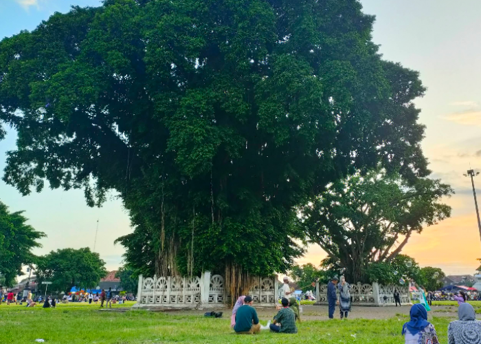 Ada yang Gratis, Ini 10 Wisata Murah di Jogja yang Cocok untuk Liburan Keluarga Hemat