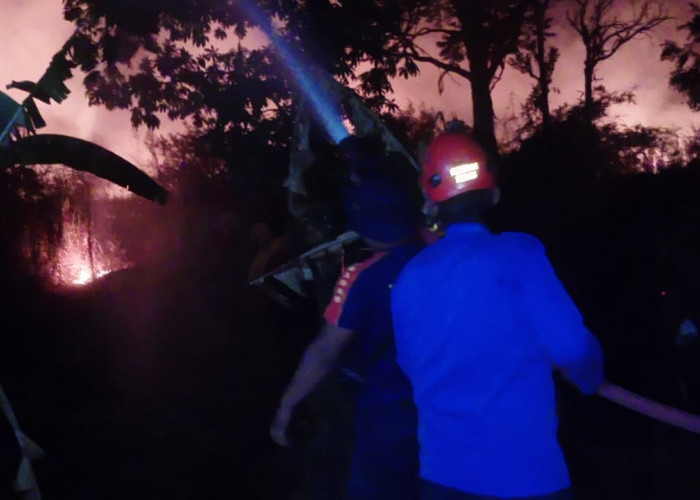 Padamkan 4 Kebakaran Lahan dalam Sehari, Damkar Kabupaten Tegal Berpindah Lokasi Hingga Malam