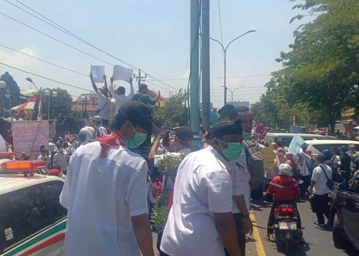 BREAKING NEWS! Demo Nakes Brebes Jilid II Tuntut PPPK 2023, Puluhan Ambulans Blokir Jalur Pantura 