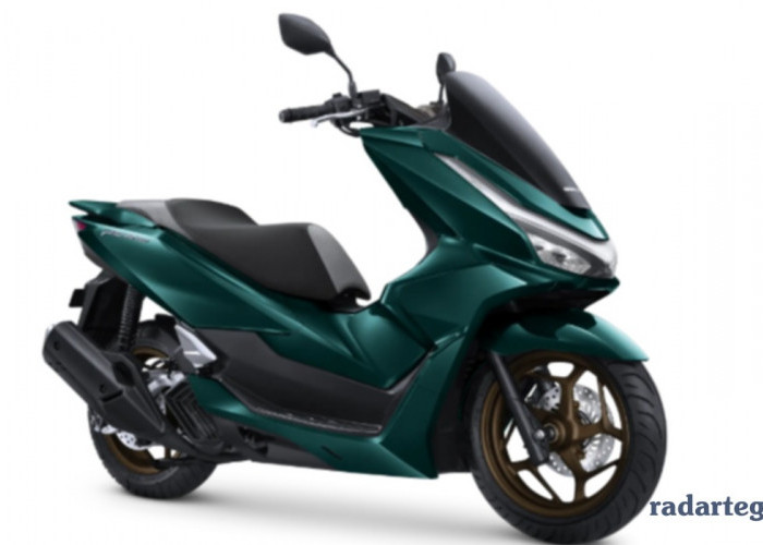 Tampil Makin Mewah, Ini Daftar Warna Baru Honda PCX 160 2026