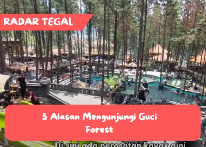 5 Alasan Mengunjungi Guci Forest di Obyek Wisata Guci Tegal, Bikin Kangen dan Pengin Balik Lagi