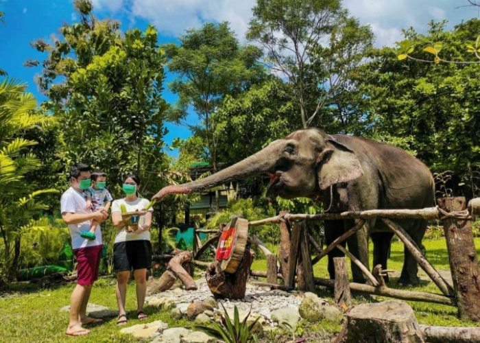 Destinasi Liburan Keluarga di Jogja yang Bikin Anak Senang dan Orang Tua Tenang