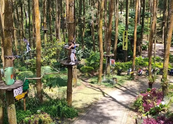 3 Wisata Outbound Terlengkap di Jawa Tengah Beserta Rincian Harganya