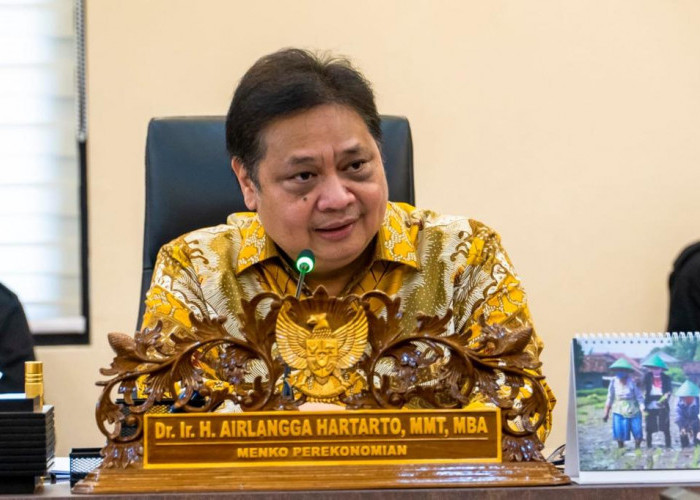 Airlangga Disebut Pakar Berhasil Pimpin Indonesia Bangun Diplomasi Politik dan Ekonomi di IPEF