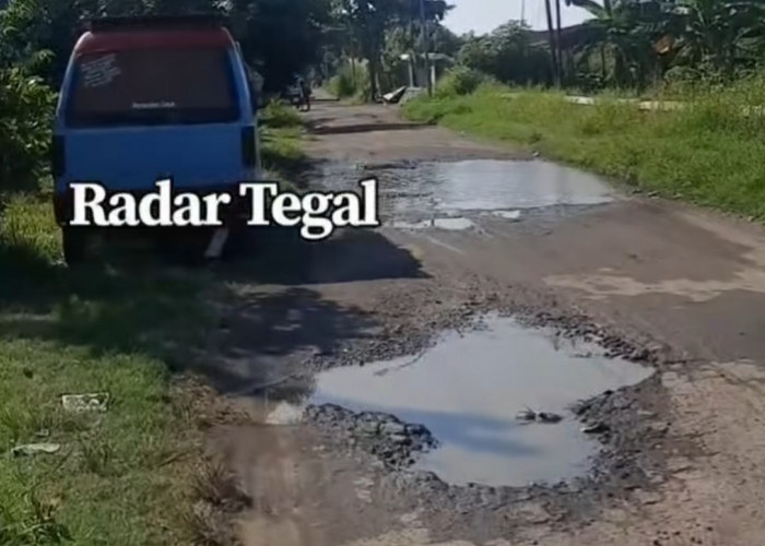 Sejumlah Ruas Jalan di Tegal Mengalami Kerusakan, Ini Tanggapan DPUPR