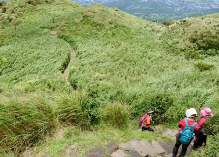 Makna Dibalik Mitos Larangan Merumput di Lereng Merapi