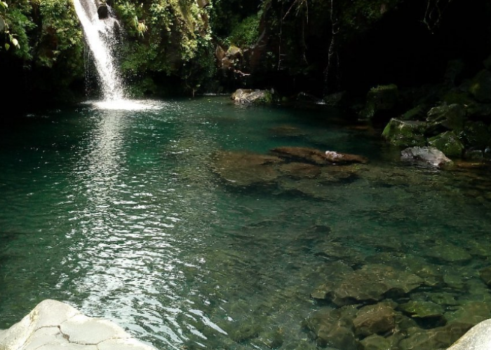 7 Tempat Healing di Purwokerto yang Sejuk, Ada Spot Aliran Sungai yang Dikelilingi Hutan Pinus