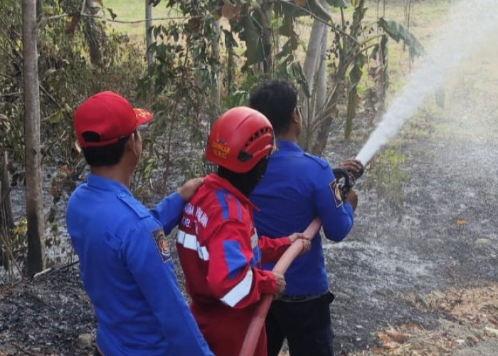 Maraton Padamkan Api, Damkar Tegal Jinakkan Dua Kebakaran Lahan dalam Waktu 7 Jam
