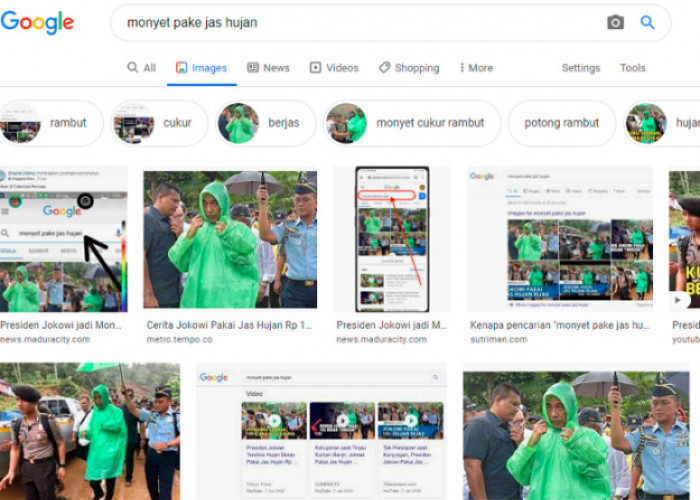 Ketik Monyet Pakai Jas Hujan Hijau yang Muncul Foto Presiden Jokowi di Google, Langsung Heboh dan Viral