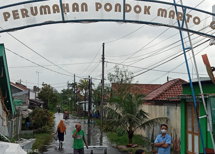 Ratusan Rumah Warga di Kota Tegal Terendam Banjir, Akses ke Sekolah dan Kantor Lumpuh 