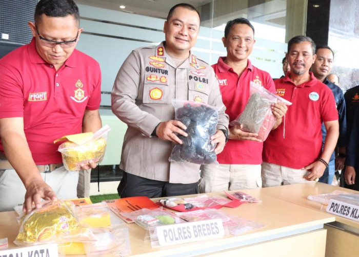 Ganja Aceh Dominasi 20 Kasus Narkoba di Brebes, 6 Bulan Polres Ringkus 28 Tersangka