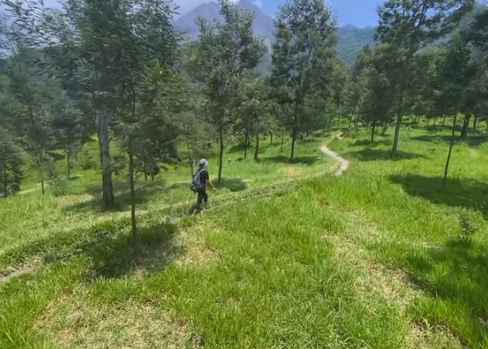 4 Wisata Alam di Klaten yang Jarang Terjamah Wisatawan