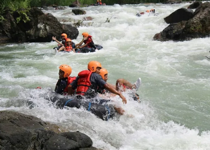 2 Spot Wisata Arung Jeram Kebumen 2025 yang Aman untuk Pemula, Seru tapi Tetap Aman