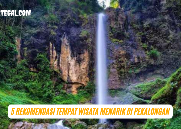 5 Rekomendasi Tempat Wisata Menarik di Pekalongan, Cocok Buat Liburan Bareng Keluarga