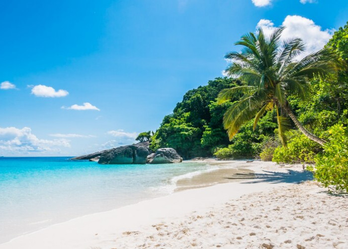 5 Pantai di Tegal yang Populer dan Sering Ramai Dikunjungi, Cocok Buat Healing Bersama Keluarga