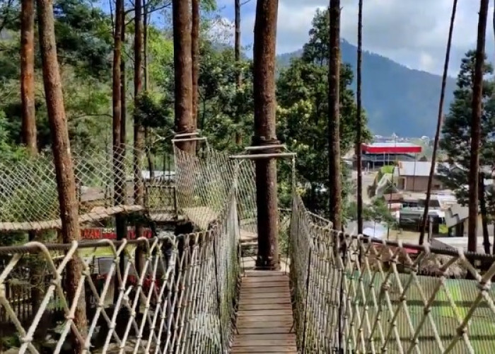 4 Wisata Alam Wajib di Tawangmangu yang Tak Boleh Terlewatkan