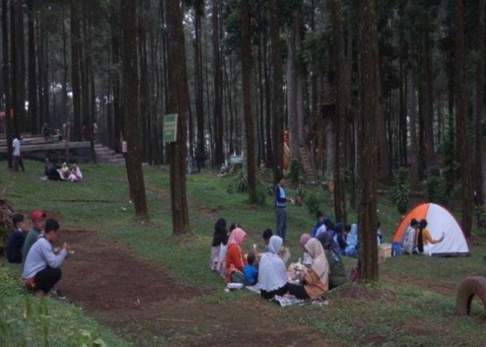 Surga Tersembunyi! Ini 5 Rekomendasi Wisata Alam Tersembunyi di Batang yang Masih Asri