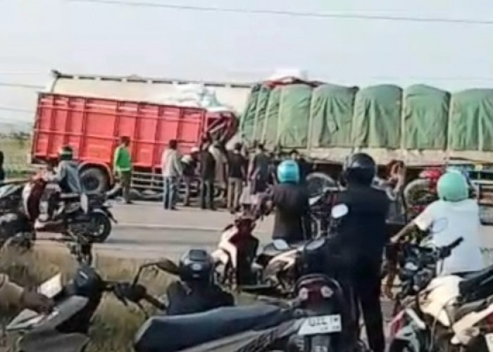 Kecelakaan Truk Trailer Tabrak Colt Diesel di Pantura Ujunggede Pemalang, 1 Korban Luka