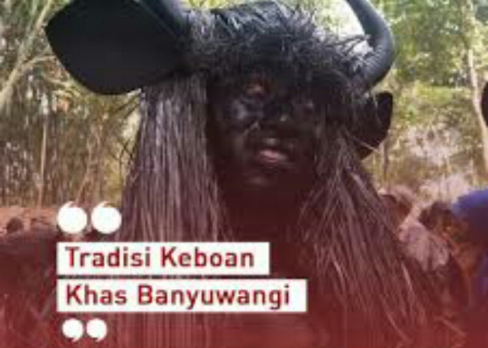 Tradisi Unik Suku Osing Banyuwangi, Ritual Sakral Kebo-keboan sebagai  Wujud  Rasa Syukur Atas  Hasil Panen