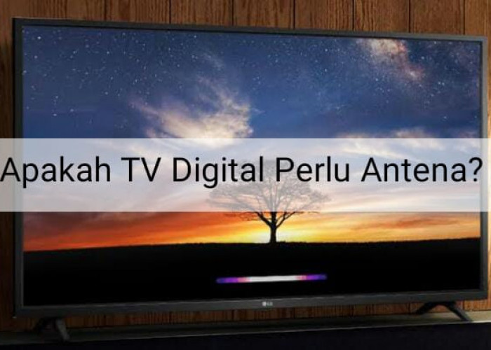 Apakah TV Digital Perlu Antena? Begini Penjelasannya