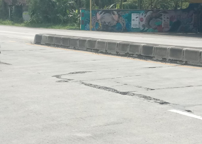 AWAS! Jalan Pantura Pemalang-Pekalongan di Kecamatan Ulujami Gelap dan Berlubang