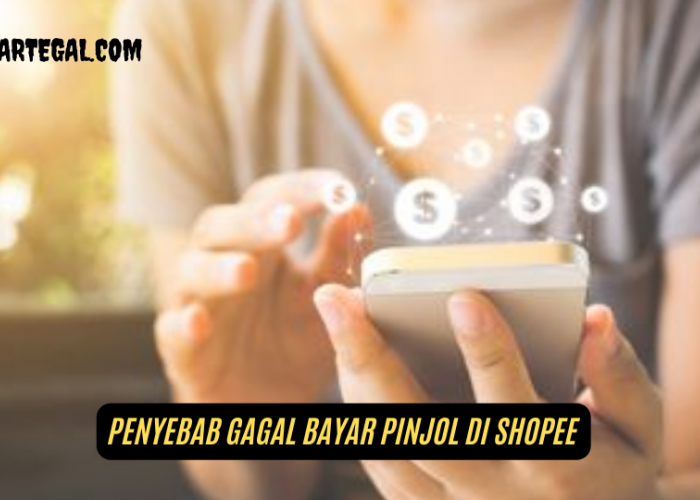 Tanpa Menambah Stress, Ini Penyebab Gagal Bayar pinjol di Shopee