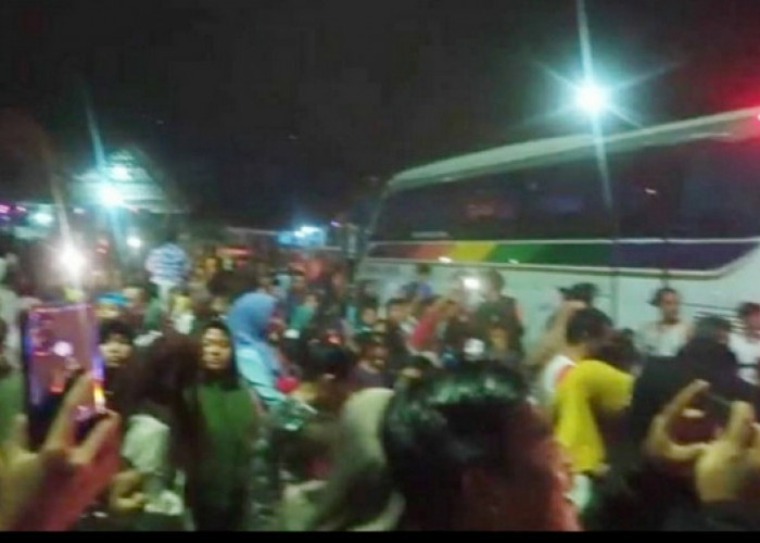 'Om Telolet Om' Ngetren Lagi, Warga Pemalang Rela Sewa Pickup untuk Berburu Suara Klakson Bus