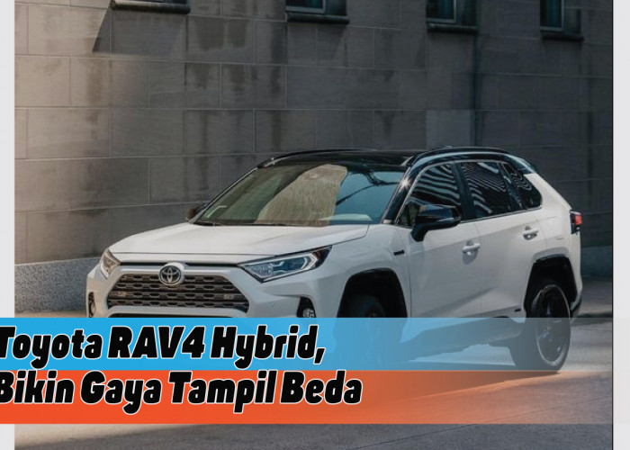 Review Spesifikasi Toyota RAV4 Hybrid, Jarang Orang Punya Nih!
