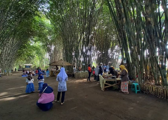 Pesona Desa Wisata Cempaka Tegal, Ada Pasar Slumpring Sajikan 47 Kuliner  dan Bermain Di Bukit Bulak Cempaka
