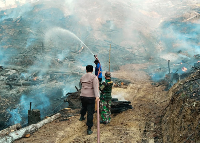 Hutan Pinus di Brebes Terbakar, Kapolsek Paguyangan: Sudah Padam dan Tak Meluas ke Kawasan Lainnya 