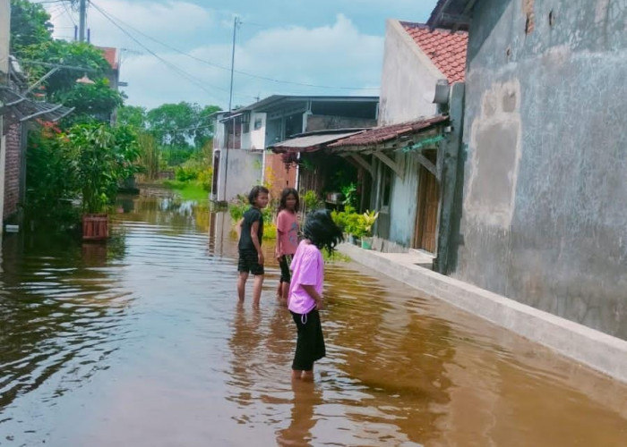 Ratusan Rumah di Dampyak Kabupaten Tegal Terendam Banjir, Warga: Masuk Rumah Tadi Pagi  
