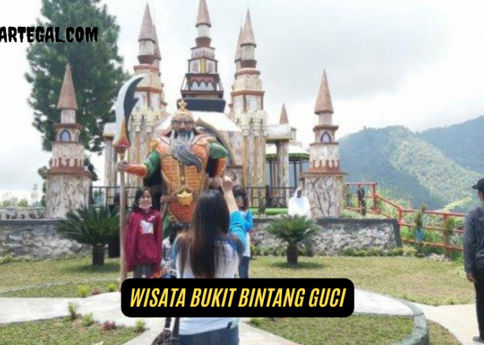 Pilihan Keluarga, Ini Review Destinasi Wisata Bukit Bintang Guci