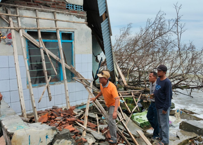 Abrasi Parah di Purwahamba Tegal: Rumah Warga Ambruk, Aktivitas Galangan Kapal Jadi Sorotan