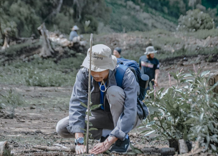 Penghijauan, 11 Ribu Pohon Ditanam di Hutan Lindung Sekitar Gunung Slamet