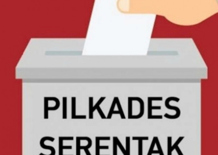 Pilkades 2026 Pemalang: TPS Disesuaikan Wilayah Pemilih