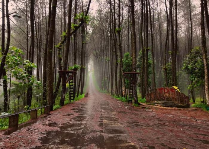 5 Tempat Wisata Alam Murah di Magelang Fasilitas Modern