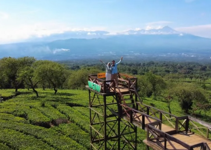 Liburan Low Budget di Malang Bareng Keluarga yang Wajib Dikunjungi